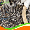 chinese hulled sunflower seeds